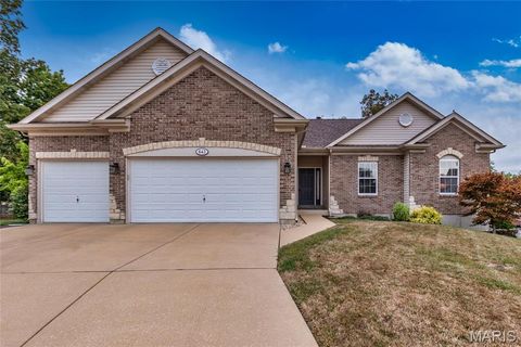 Photo of 643 Tanya Court Drive, St Louis, MO 63129 (MLS # 25068685)