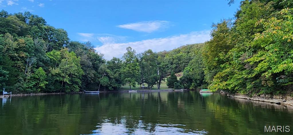 Lake Sherwood Estates - Land