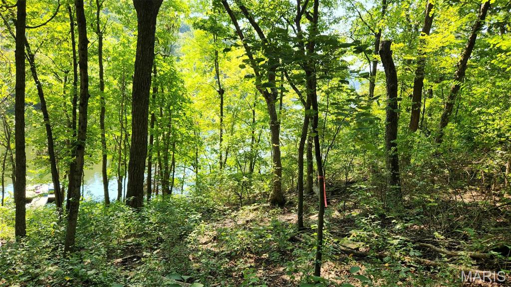 Lake Sherwood Estates - Land