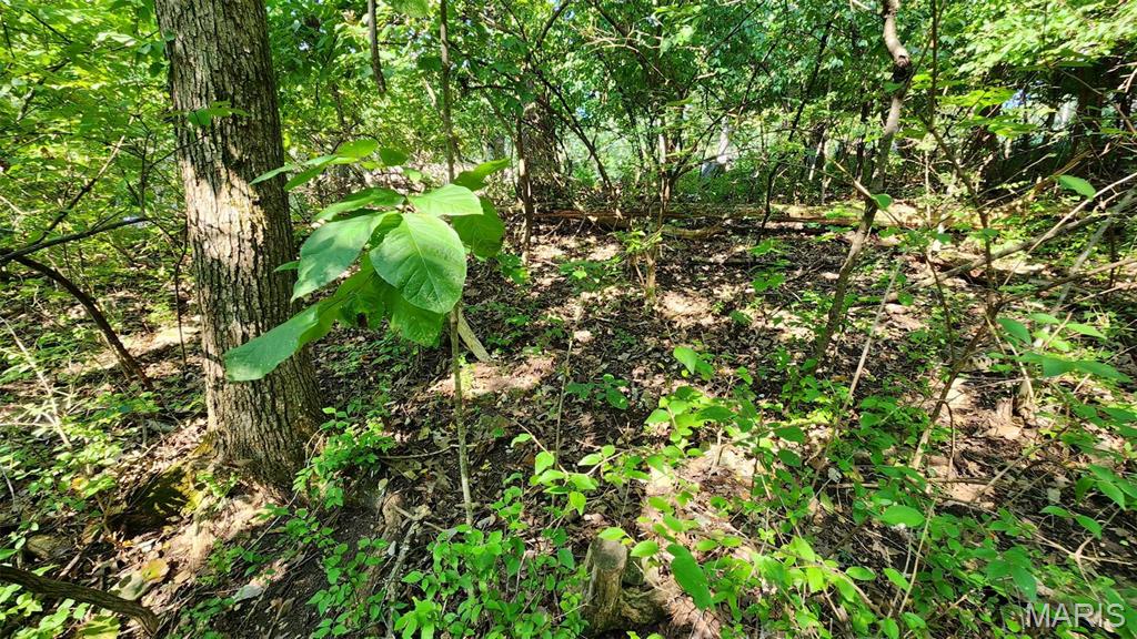 Lake Sherwood Estates - Land