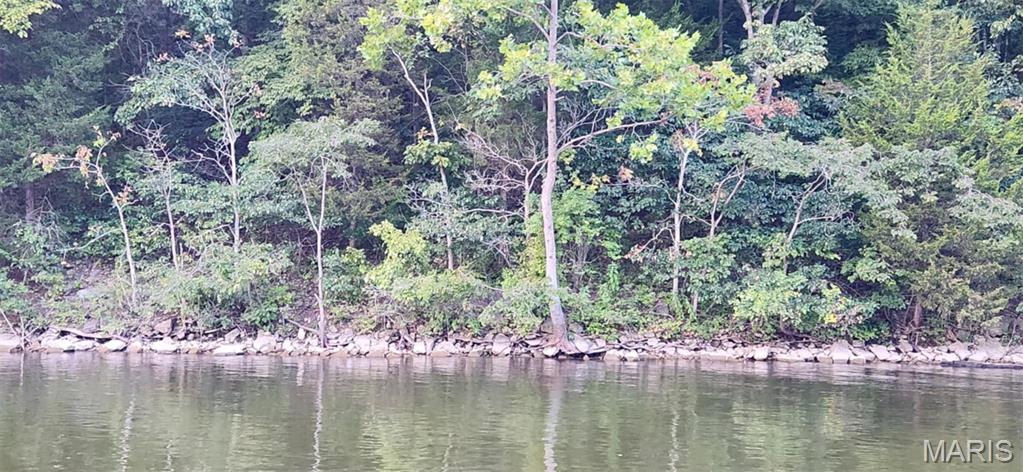 Lake Sherwood Estates - Land