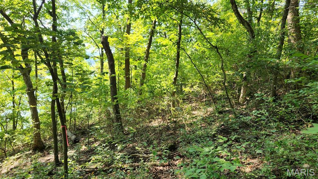 Lake Sherwood Estates - Land