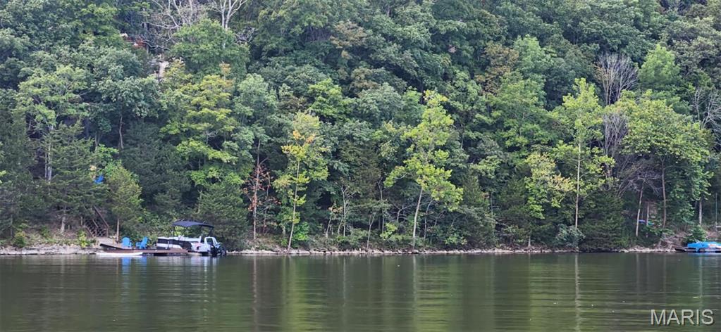 Lake Sherwood Estates - Land