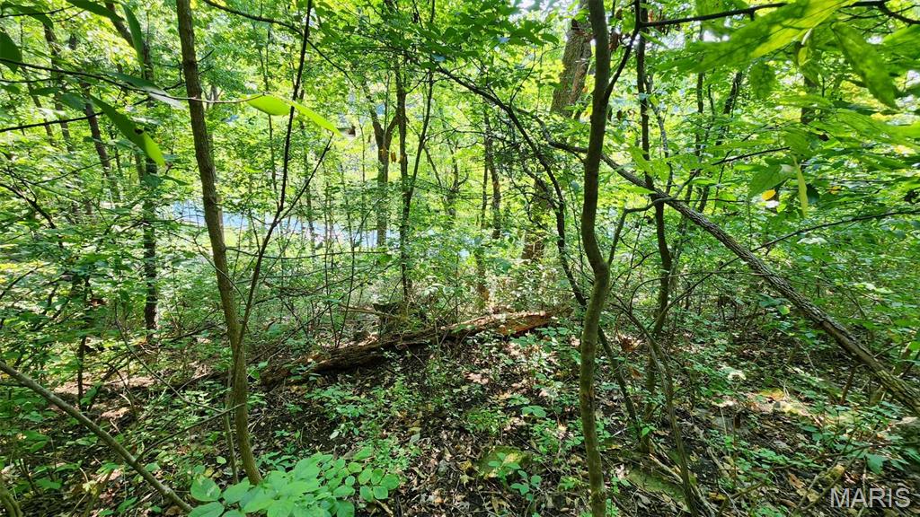 Lake Sherwood Estates - Land