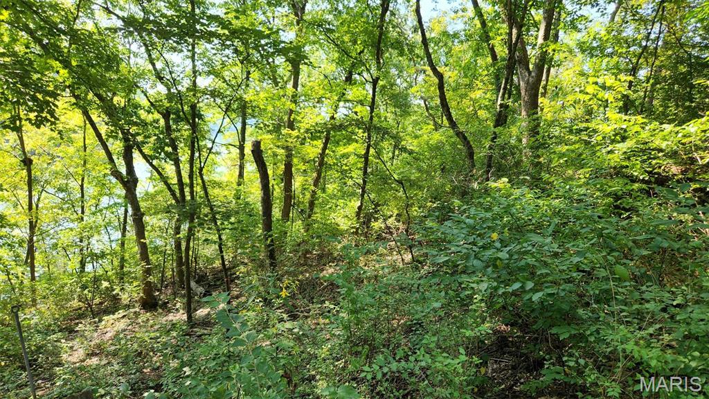 Lake Sherwood Estates - Land