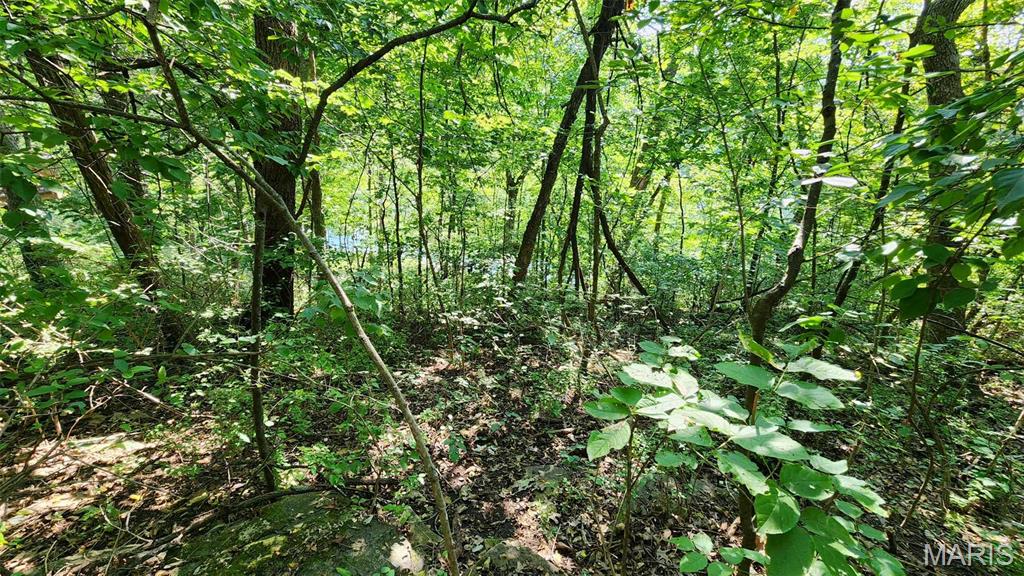 Lake Sherwood Estates - Land