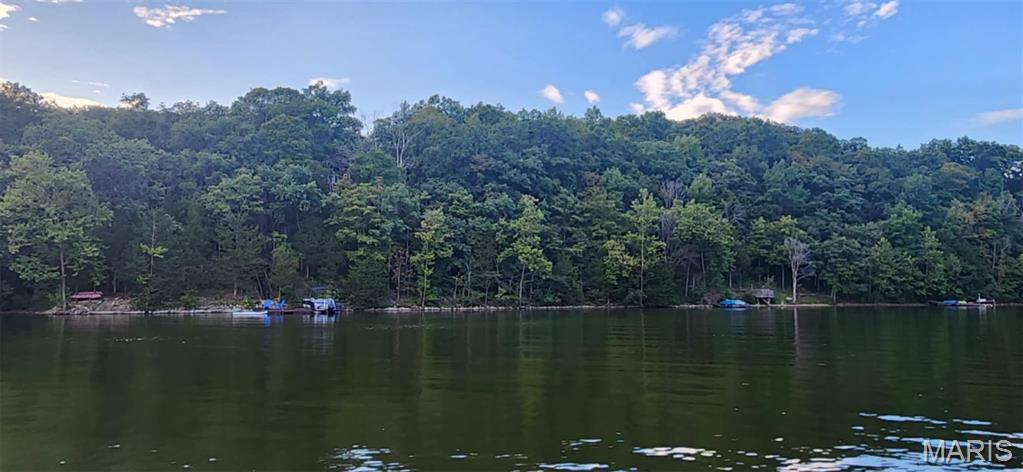 1828 Lionheart Court