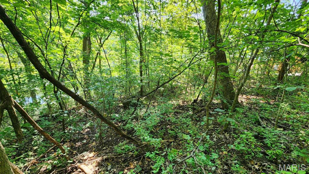 Lake Sherwood Estates - Land