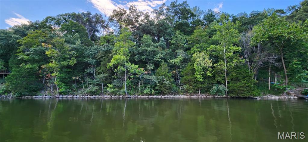 Lake Sherwood Estates - Land