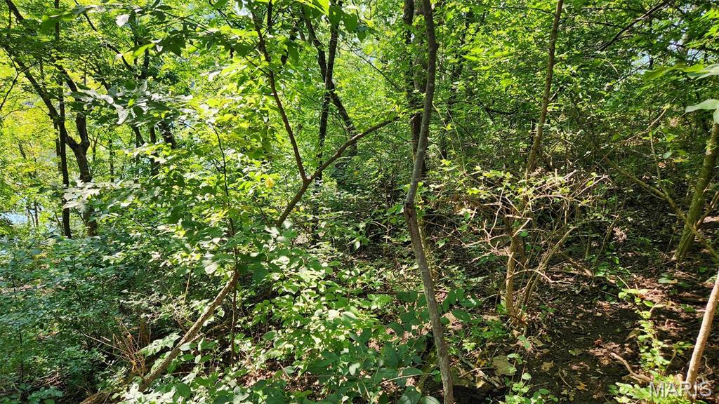 Lake Sherwood Estates - Land