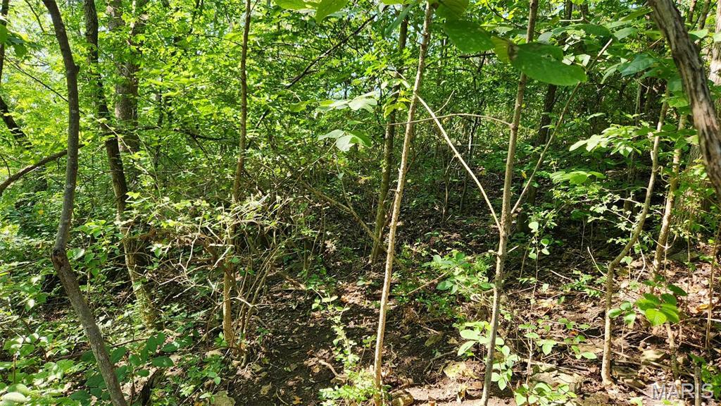 Lake Sherwood Estates - Land