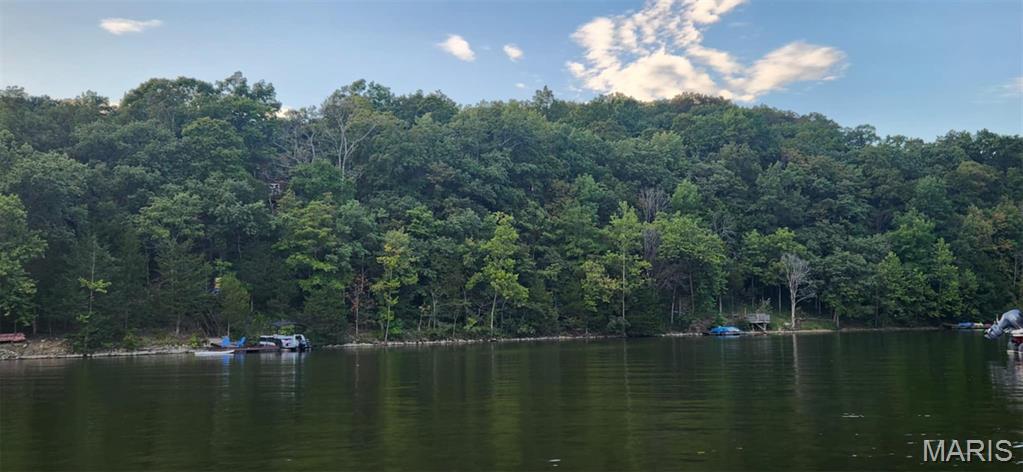 1828 Lionheart Court