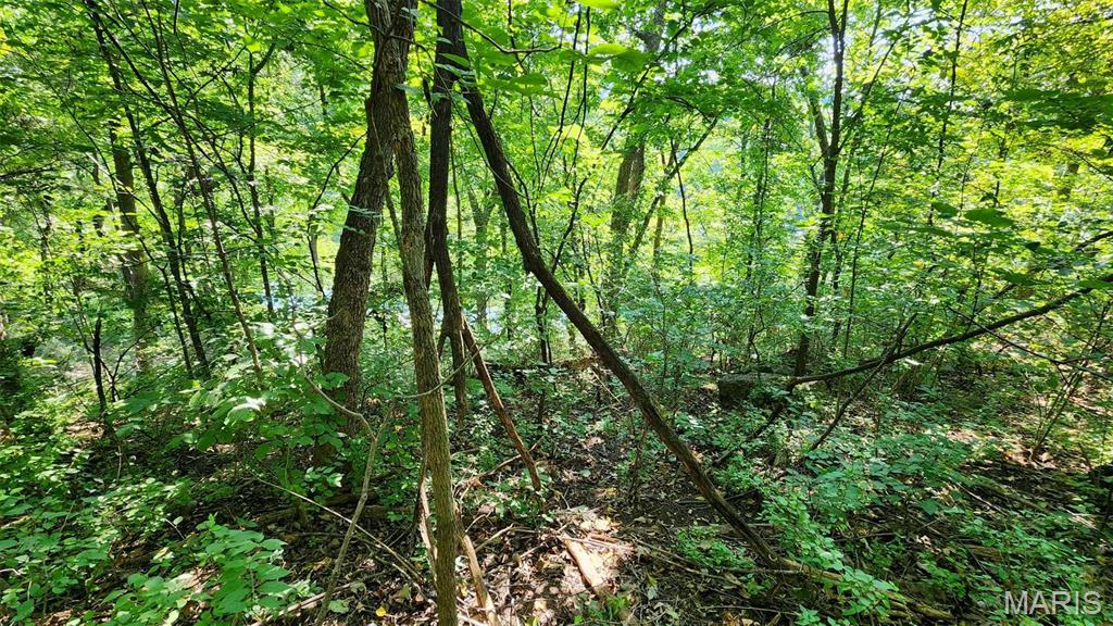 Lake Sherwood Estates - Land