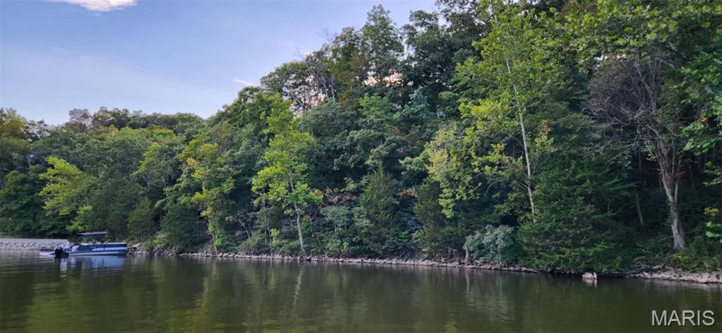 Lake Sherwood Estates - Land