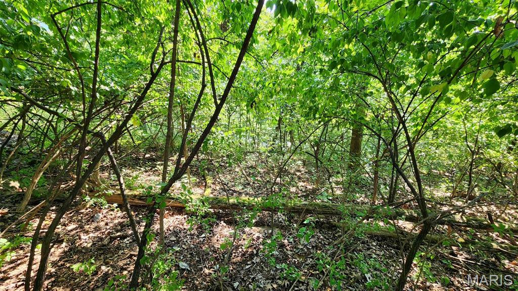 Lake Sherwood Estates - Land