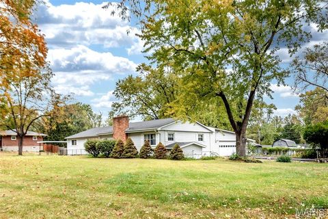 Tiny photo for 311 Utz Lane, Hazelwood, MO 63042 (MLS # 26030670)
