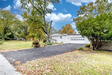 Tiny photo for 311 Utz Lane, Hazelwood, MO 63042 (MLS # 26030670)
