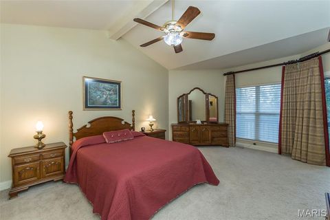 Tiny photo for 15901 Shady Forest Court, Ballwin, MO 63021 (MLS # 25068203)