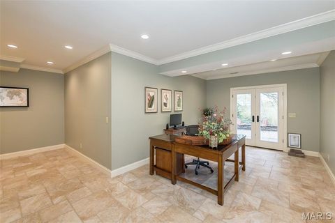 Tiny photo for 15901 Shady Forest Court, Ballwin, MO 63021 (MLS # 25068203)
