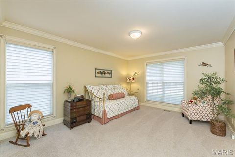 Tiny photo for 15901 Shady Forest Court, Ballwin, MO 63021 (MLS # 25068203)
