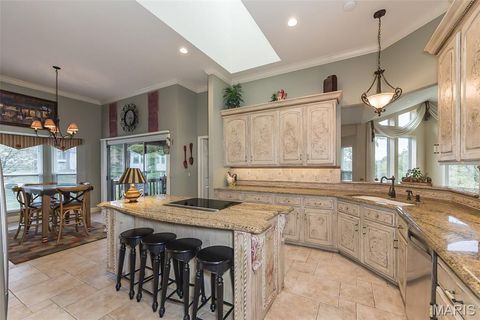 Tiny photo for 15901 Shady Forest Court, Ballwin, MO 63021 (MLS # 25068203)