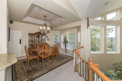 Tiny photo for 15901 Shady Forest Court, Ballwin, MO 63021 (MLS # 25068203)