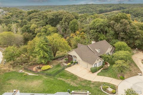 Tiny photo for 15901 Shady Forest Court, Ballwin, MO 63021 (MLS # 25068203)