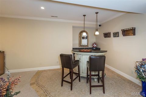 Tiny photo for 15901 Shady Forest Court, Ballwin, MO 63021 (MLS # 25068203)