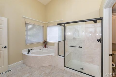 Tiny photo for 15901 Shady Forest Court, Ballwin, MO 63021 (MLS # 25068203)