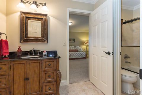 Tiny photo for 15901 Shady Forest Court, Ballwin, MO 63021 (MLS # 25068203)