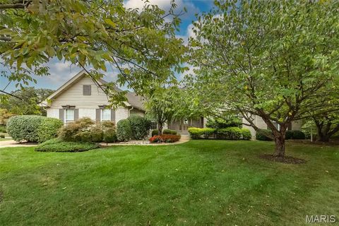 Photo of 15901 Shady Forest Court, Ballwin, MO 63021 (MLS # 25068203)