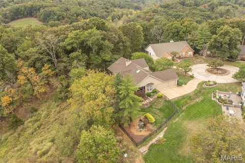 Tiny photo for 15901 Shady Forest Court, Ballwin, MO 63021 (MLS # 25068203)