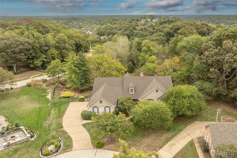Tiny photo for 15901 Shady Forest Court, Ballwin, MO 63021 (MLS # 25068203)