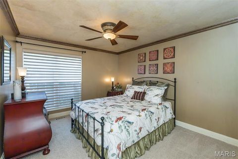 Tiny photo for 15901 Shady Forest Court, Ballwin, MO 63021 (MLS # 25068203)
