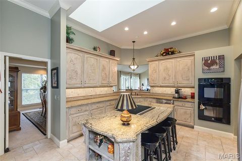 Tiny photo for 15901 Shady Forest Court, Ballwin, MO 63021 (MLS # 25068203)