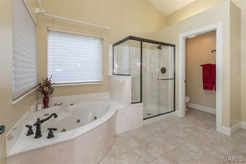 Tiny photo for 15901 Shady Forest Court, Ballwin, MO 63021 (MLS # 25068203)