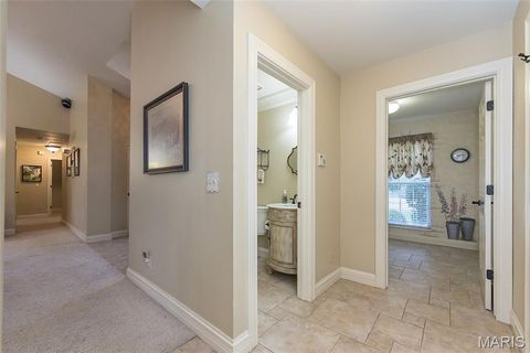 Tiny photo for 15901 Shady Forest Court, Ballwin, MO 63021 (MLS # 25068203)