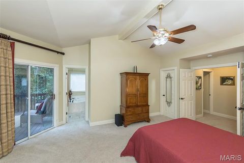 Tiny photo for 15901 Shady Forest Court, Ballwin, MO 63021 (MLS # 25068203)