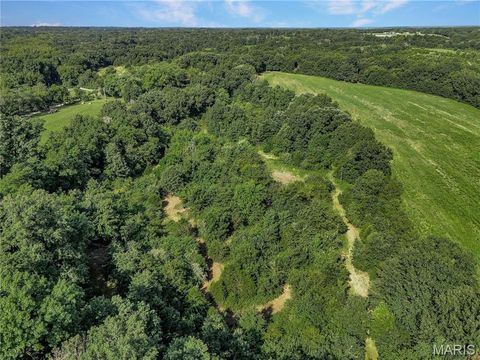 Tiny photo for 0 Cave Farm Rd. (49.91+/- Acres), Troy, MO 63379 (MLS # 25063998)