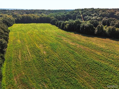 Tiny photo for 0 Cave Farm Rd. (49.91+/- Acres), Troy, MO 63379 (MLS # 25063998)