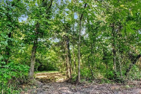 Tiny photo for 0 Cave Farm Rd. (49.91+/- Acres), Troy, MO 63379 (MLS # 25063998)