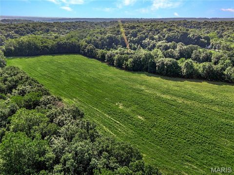 Tiny photo for 0 Cave Farm Rd. (49.91+/- Acres), Troy, MO 63379 (MLS # 25063998)
