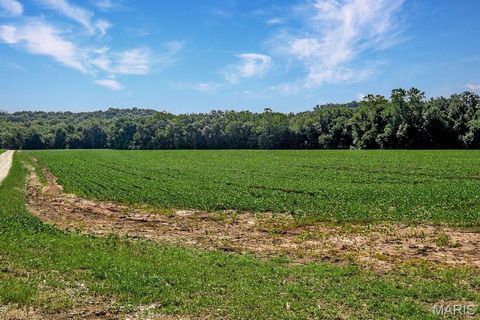 Tiny photo for 0 Cave Farm Rd. (49.91+/- Acres), Troy, MO 63379 (MLS # 25063998)