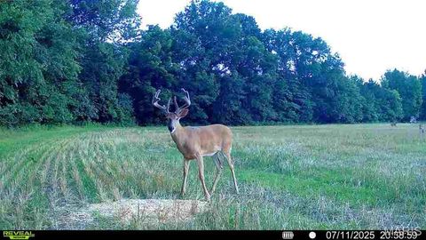 Tiny photo for 0 Cave Farm Rd. (49.91+/- Acres), Troy, MO 63379 (MLS # 25063998)