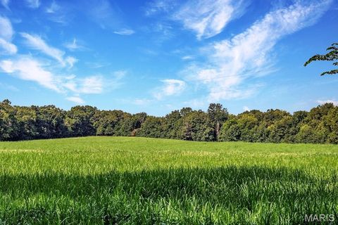 Tiny photo for 0 Cave Farm Rd. (49.91+/- Acres), Troy, MO 63379 (MLS # 25063998)
