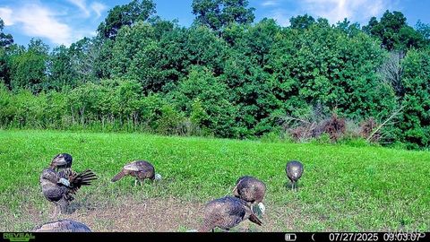 Tiny photo for 0 Cave Farm Rd. (49.91+/- Acres), Troy, MO 63379 (MLS # 25063998)