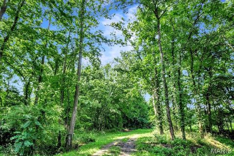 Tiny photo for 0 Cave Farm Rd. (49.91+/- Acres), Troy, MO 63379 (MLS # 25063998)