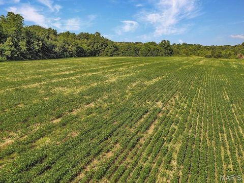 Tiny photo for 0 Cave Farm Rd. (49.91+/- Acres), Troy, MO 63379 (MLS # 25063998)