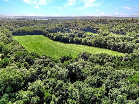 Tiny photo for 0 Cave Farm Rd. (49.91+/- Acres), Troy, MO 63379 (MLS # 25063998)