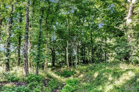 Tiny photo for 0 Cave Farm Rd. (49.91+/- Acres), Troy, MO 63379 (MLS # 25063998)